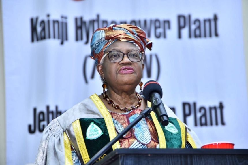 Africa must not be supplicant for shrinking pool of aid — Okonjo-Iweala 