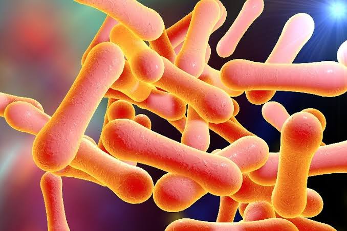 Nasarawa: 15 diphtheria cases confirmed, 11 in Keffi